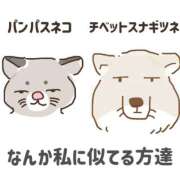 まふゆ 🧊ドパガキ就寝🧊 The White（ザ ホワイト）