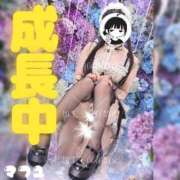 ヒメ日記 2026/10/12 23:40 投稿 まふゆ The White（ザ ホワイト）