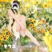 ヒメ日記 2026/10/15 23:41 投稿 まふゆ The White（ザ ホワイト）