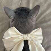 ヒメ日記 2026/03/15 01:07 投稿 鶴巻のあ 池袋性感アロマ＆スイート ALLAMANDA -アラマンダ-