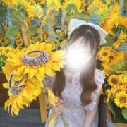 ヒメ日記 2025/08/19 19:01 投稿 めあり◇綺麗＆かわいい系美女◇ 東京ラブエッセンス