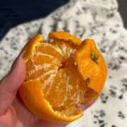 ヒメ日記 2025/03/02 15:28 投稿 まお 福島♂風俗の神様 郡山店