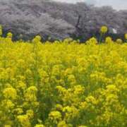 ヒメ日記 2025/04/11 19:38 投稿 まお 福島♂風俗の神様 郡山店