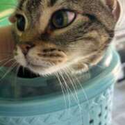 ヒメ日記 2025/05/28 10:08 投稿 まお 福島♂風俗の神様 郡山店