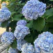 ヒメ日記 2025/06/25 21:08 投稿 まお 福島♂風俗の神様 郡山店