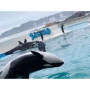 ヒメ日記 2025/05/04 12:44 投稿 えな ふわふわコレクション