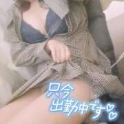 ヒメ日記 2025/12/08 12:47 投稿 かえら ダイスキ