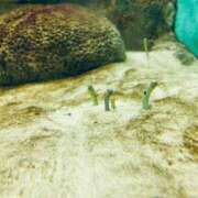 ヒメ日記 2025/02/18 19:50 投稿 胡桃あい（美尻・M・明るい） ソープランド ZERO