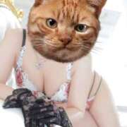 ヒメ日記 2025/11/03 18:16 投稿 胡桃あい（美尻・M・明るい） ソープランド ZERO