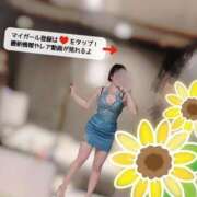 ヒメ日記 2026/03/23 19:41 投稿 胡桃あい（美尻・M・明るい） ソープランド ZERO