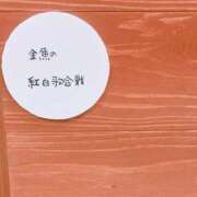 ヒメ日記 2023/12/03 23:59 投稿 夏川 ゆず ハレ系 ひよこ治療院(中州)