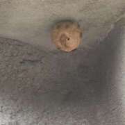 ヒメ日記 2025/08/02 14:05 投稿 りょう Club Paradise（クラブパラダイス）