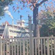 ヒメ日記 2024/12/11 19:55 投稿 ゆきな 西川口前立腺研究所