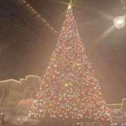 ヒメ日記 2024/12/14 15:44 投稿 ゆきな 西川口前立腺研究所