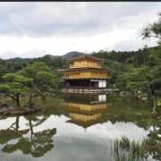 ゆきな お礼 西川口前立腺研究所