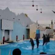 ヒメ日記 2026/01/25 20:14 投稿 ゆきな 西川口前立腺研究所