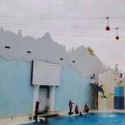 ヒメ日記 2026/01/31 16:14 投稿 ゆきな 西川口前立腺研究所