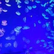 ヒメ日記 2026/04/09 16:04 投稿 ゆきな 西川口前立腺研究所