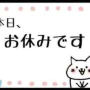 ヒメ日記 2024/06/15 20:54 投稿 あくあ ぽっちゃりきぶん