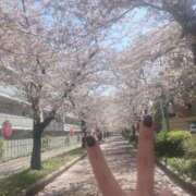 ヒメ日記 2025/04/11 16:21 投稿 ゆいな ロリ性感と痴女教師 池袋ちんぐり学園