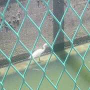 ヒメ日記 2025/07/19 16:01 投稿 ゆいな ロリ性感と痴女教師 池袋ちんぐり学園