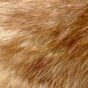 ヒメ日記 2025/01/16 12:19 投稿 大島 さとみ カサノヴァ