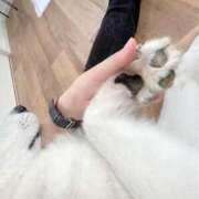 ヒメ日記 2025/06/09 12:22 投稿 大島 さとみ カサノヴァ