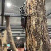 ヒメ日記 2025/08/10 18:59 投稿 大島 さとみ カサノヴァ