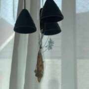 ヒメ日記 2025/08/19 12:19 投稿 大島 さとみ カサノヴァ