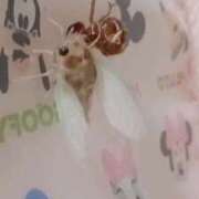 ヒメ日記 2025/08/21 23:15 投稿 大島 さとみ カサノヴァ