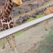 ヒメ日記 2025/10/13 17:19 投稿 大島 さとみ カサノヴァ