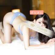 ヒメ日記 2025/11/10 10:19 投稿 大島 さとみ カサノヴァ