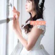 ヒメ日記 2025/11/29 12:09 投稿 大島 さとみ カサノヴァ