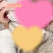 ヒメ日記 2026/03/07 10:29 投稿 大島 さとみ カサノヴァ