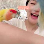 ヒメ日記 2026/03/31 10:59 投稿 大島 さとみ カサノヴァ