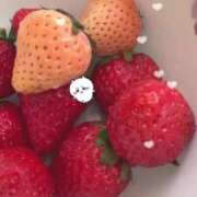 ヒメ日記 2025/01/13 10:43 投稿 柏木 もえ カサノヴァ