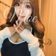 ヒメ日記 2025/04/05 08:49 投稿 柏木 もえ カサノヴァ