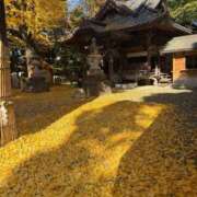 ヒメ日記 2025/11/26 18:09 投稿 柏木 もえ カサノヴァ