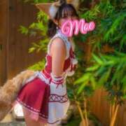 ヒメ日記 2026/01/29 20:09 投稿 柏木 もえ カサノヴァ