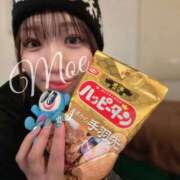 ヒメ日記 2026/02/28 13:19 投稿 柏木 もえ カサノヴァ