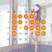 ヒメ日記 2025/11/19 20:03 投稿 朝日奈空 カサノヴァ