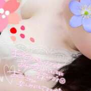 ヒメ日記 2025/02/03 08:57 投稿 四宮 綾乃 カサノヴァ