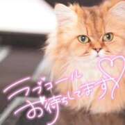 ヒメ日記 2025/03/05 16:19 投稿 四宮 綾乃 カサノヴァ