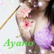 ヒメ日記 2025/03/27 07:19 投稿 四宮 綾乃 カサノヴァ