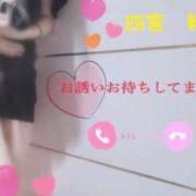 ヒメ日記 2025/03/31 14:29 投稿 四宮 綾乃 カサノヴァ