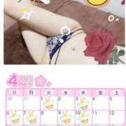 ヒメ日記 2025/04/08 10:51 投稿 四宮 綾乃 カサノヴァ