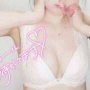 ヒメ日記 2025/04/08 15:09 投稿 四宮 綾乃 カサノヴァ