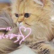 ヒメ日記 2025/06/13 22:49 投稿 四宮 綾乃 カサノヴァ