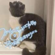 ヒメ日記 2025/06/15 10:49 投稿 四宮 綾乃 カサノヴァ