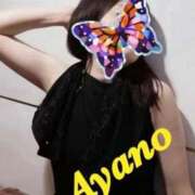 ヒメ日記 2025/10/26 14:39 投稿 四宮 綾乃 カサノヴァ